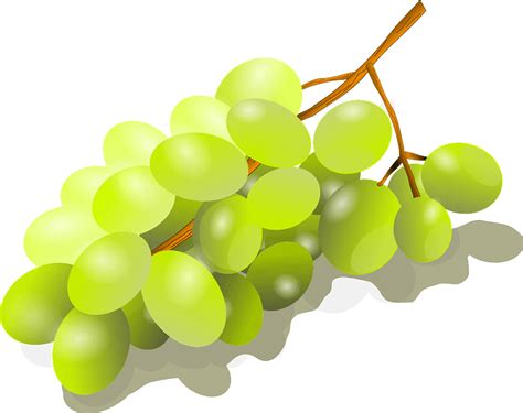 Grapes Png Images Transparent Free Download Pngmart