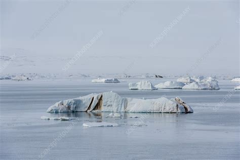 Iceberg Field Stock Image C0546737 Science Photo Library