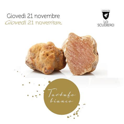 Magnum al Tartufo Bianco - Triglia Di Bosco