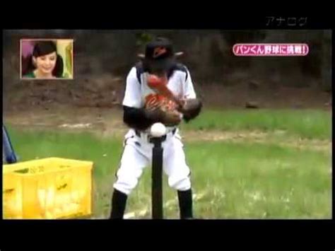 Maybe you would like to learn more about one of these? Monkey playing baseball - YouTube