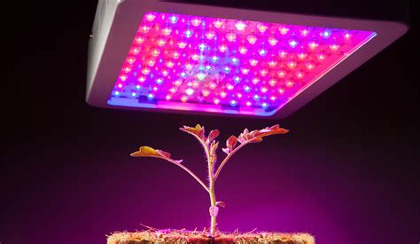 Best led grow lights july 2021. Best Full Spectrum LED Grow Lights for Plants in 2020 - UV ...