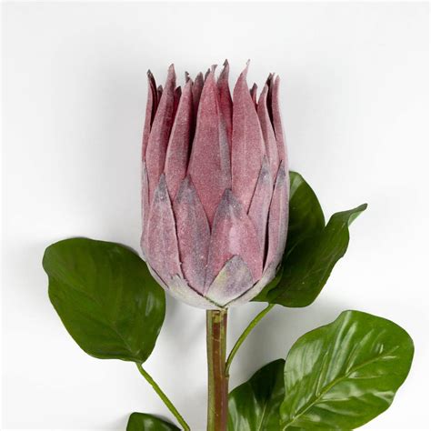 Artificial Protea Flower Stem 66cm Stunning Artificial Flowers