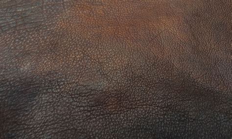 Leather - Virginia Bison Company