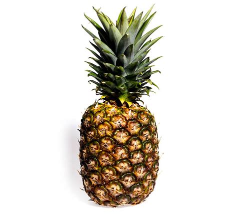 meaning  symbolism   word pineapple