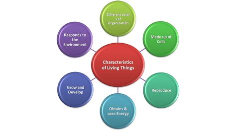 Edutech Characteristics Of Living Things