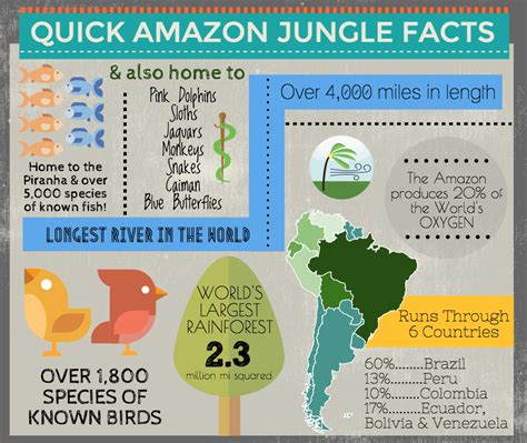 Amazon River Facts Amazon Rainforest Facts Rainforest Facts