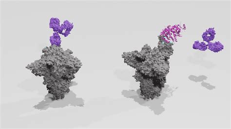 Making Sense Of The Sars Cov 2 Spike Mutations The Native Antigen Company