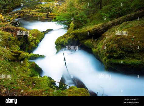 Downing Creek Falls West Cascades Scenic Byway Willamette National