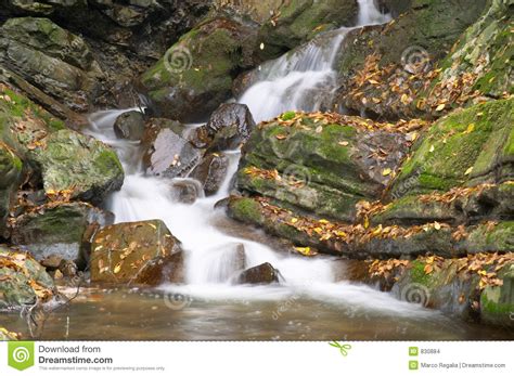 Rapids In A Mountain Brook Stock Photo Image Of Creek 830884