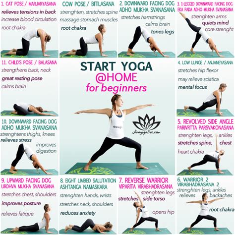 How To Start Yoga By Yourself At Home Beginners Guide Jivayogalive