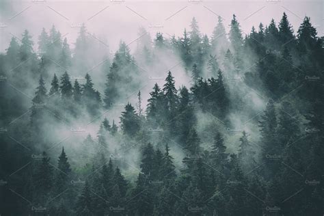 Misty Mountain Landscape Featuring Forest Fog And Travel Nature