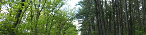 Carlisle 2019: Best of Carlisle, PA Tourism - TripAdvisor