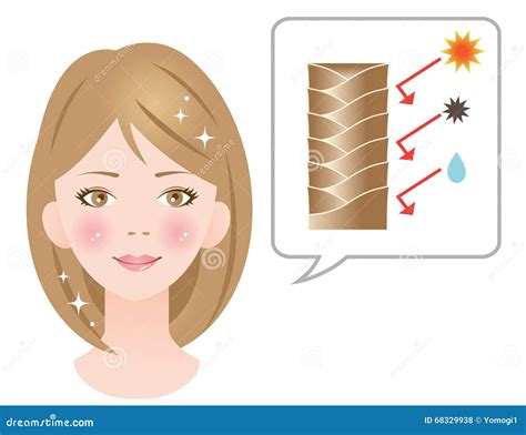 Cuticle Of Hair Close Up Vector Illustration 95074420