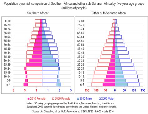 Cepii Growth And Population Dynamics In Sub Saharan Africa