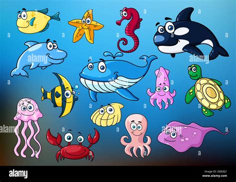 Cartoon Funny Fishes Dolphin Blue And Killer Whales Jellyfish