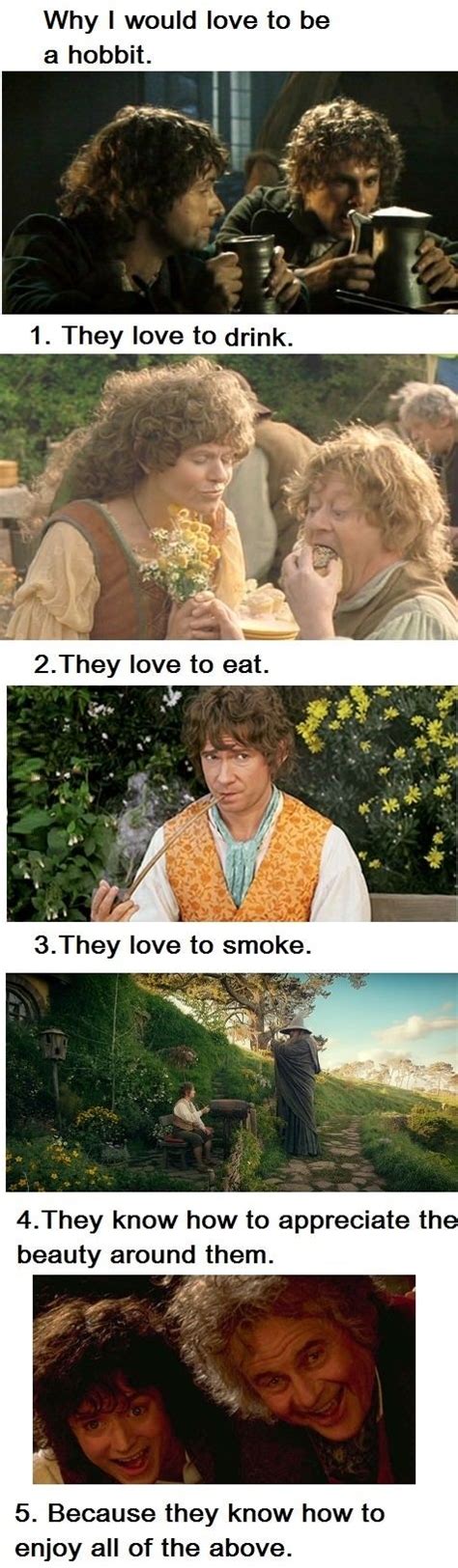 Why I Want To Be A Hobbit The Hobbit Lord Of The Rings Daily Funny