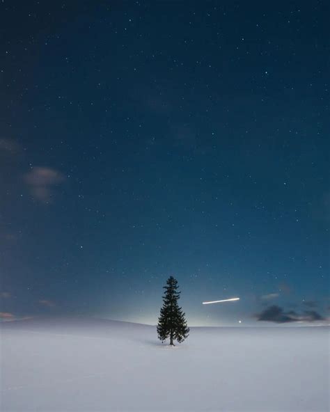 福田洋昭 The Famous Lone Christmas Tree In Biei Hokkaido Japan 星空でライト