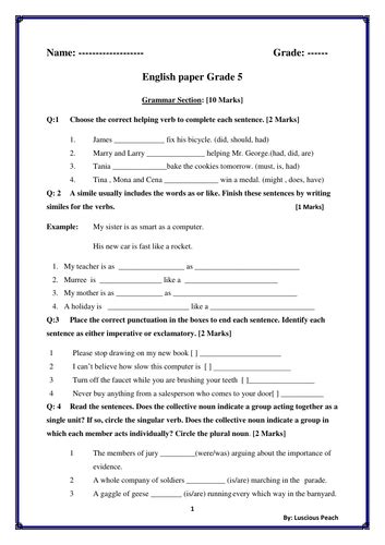 English Entry Test Paper Grade 5 With Grammar Reading Comprehension