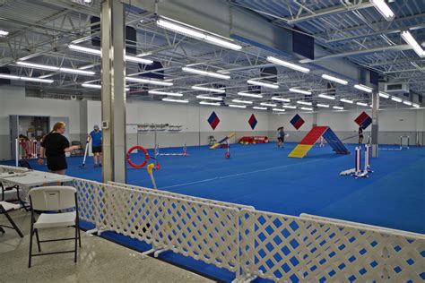 Because this is also the distance many enemies will be at or will cross when they are charging at you, or you're retreating from them, it will happen that your. Agility Ring | Fusion Pet Retreat | Minnetonka MN - Dog ...