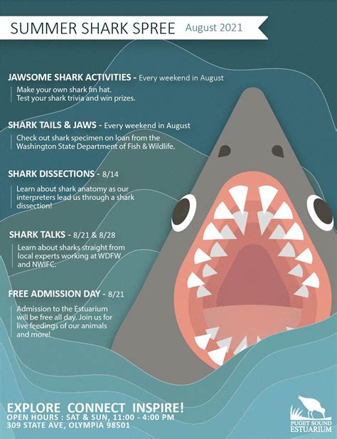 Summer Shark Spree Puget Sound Estuarium