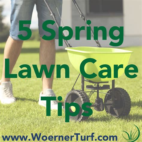5 Tips For Spring Lawn Care Woerner Turf Lawn Care Tips Spring