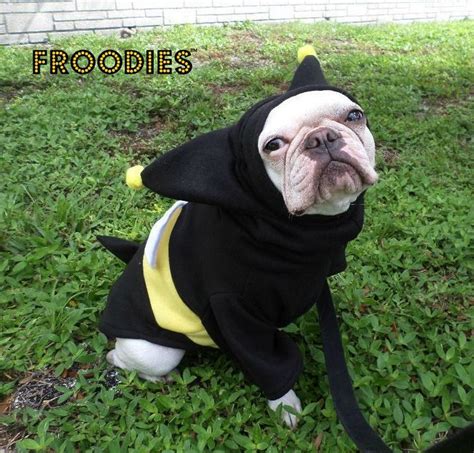 The rideshare company will be offering. French Bulldog Boston Terrier Pug Dog Froodies Hoodies ...
