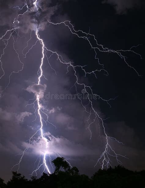 Vertical Image Of Scary Real Lightning Striking Over The Forest At
