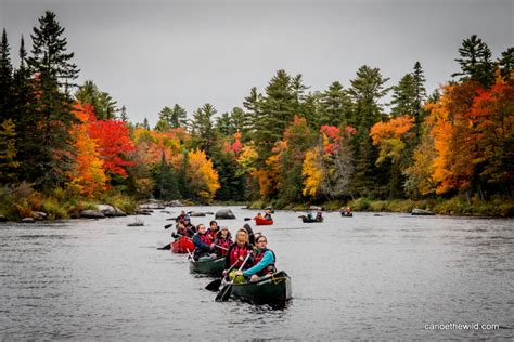Maine Fall Foliage Canoe Trip Canoe The Wild