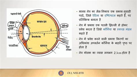 Diagram Structure Of Human Eye Class 10