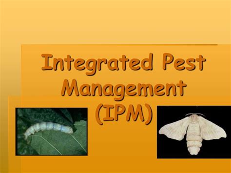 Ppt Integrated Pest Management Ipm Powerpoint Presentation Id400808