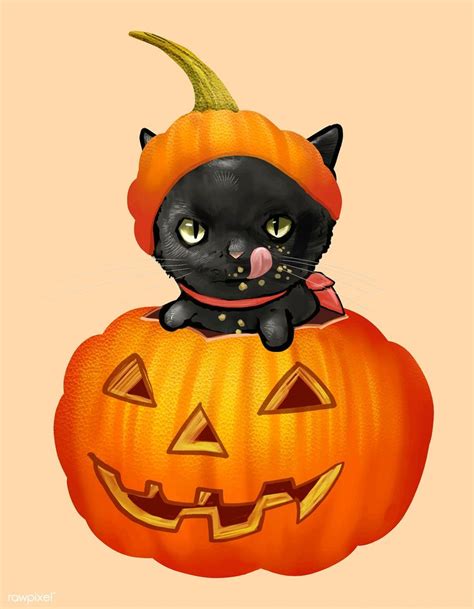 Illustration Of A Black Cat In Pumpkin Icon Vector For Halloween Free Image By Rawpixel Com