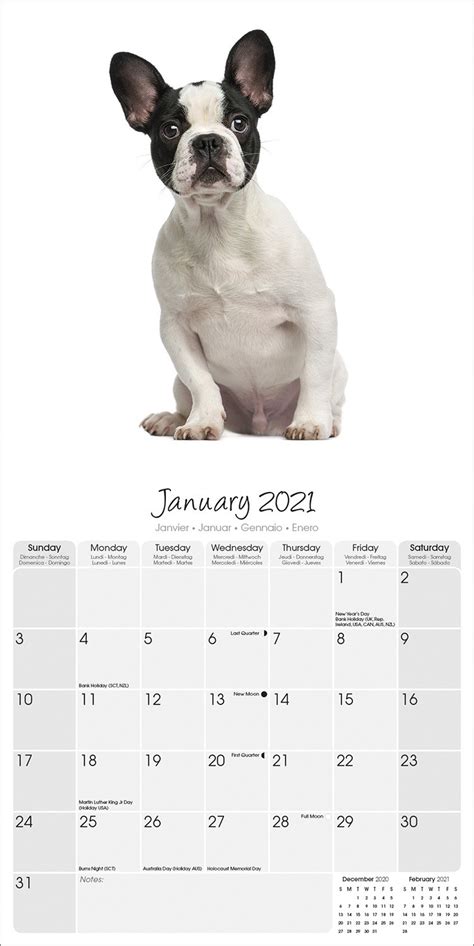 They are said to be one of the costliest breeds ranging from $1,400 to $8500 since. French Bulldog Studio Range Calendar, Dog Breed | Pet ...