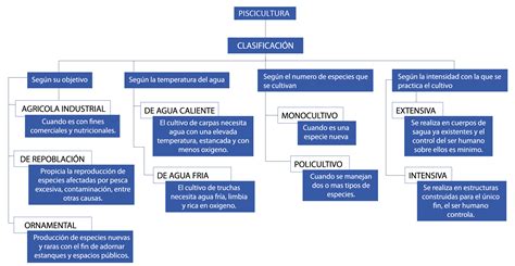 Mapa Conceptual De Los Ecosistemas Acuaticos Png C Vrogue Co