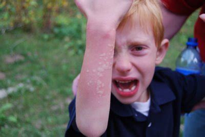 Maybe you would like to learn more about one of these? Shared: Stinging nettles