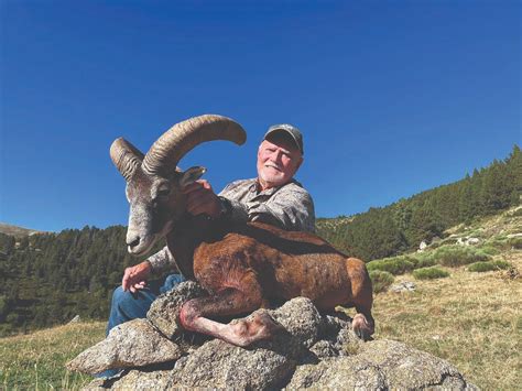 319 Sa 19 French Mainland Corsican Mouflon Hunt Grand Slam Clubovis