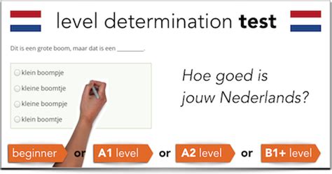Dutch hormone test with review. Dutch language level proficiency test (0/A1/A2/B1+)