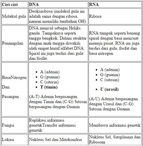 Beda Rna Dan Dna Ujian