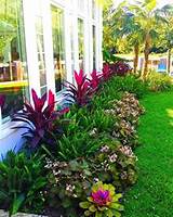 Landscaping Plants Qld Images