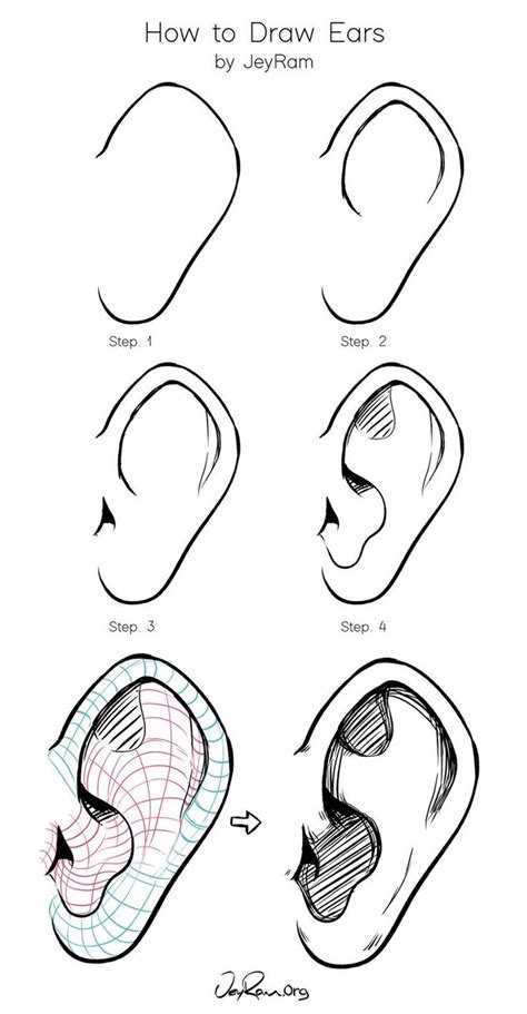 Human Ear Drawing Ears Ear Drawing Study Face Draw Step Reference Sheet