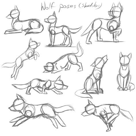 Wolf Poses Sketches By Xlilacnialldoex On Deviantart