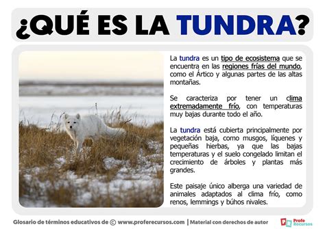 qué es la tundra definición de tundra