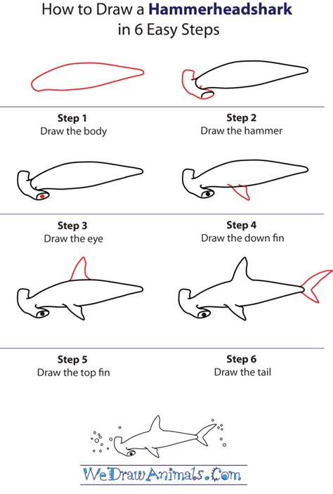 How To Draw A Cute Shark Step By Step At Drawing Tutorials