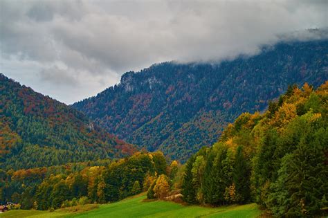 Germany Mountains Forests Autumn Trees Inzell Nature Wallpapers