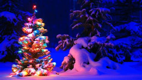 Christmas Tree Snow Wallpapers Top Free Christmas Tree Snow