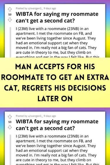 man accepts for his roommate to get an extra cat regrets his decisions later on artofit