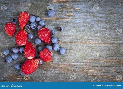 Wild Berries On Wood Background Stock Photo Image Of Berries Copy