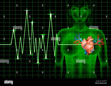Heartbeat Of Human And Graph Stock Vector Image And Art Alamy