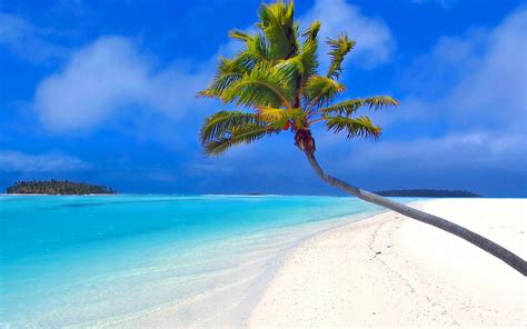 Free Download Paradise Beach Desktop Wallpapers 1920x1200 For Your