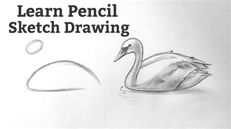 How To Pencil Drawing Easy Step By Step