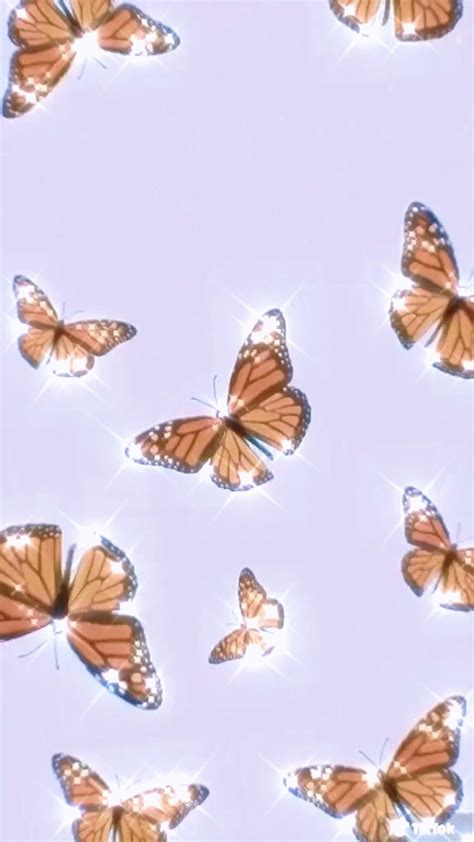 Pink Butterfly Wallpaper Aesthetic  With These Butterfly Png